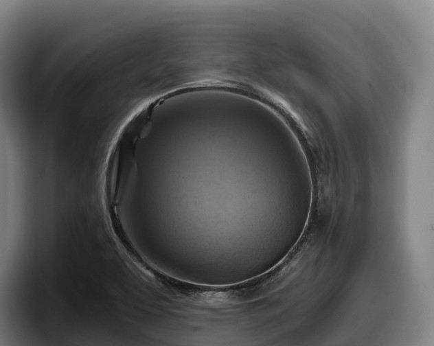 X0000097831463200803201448