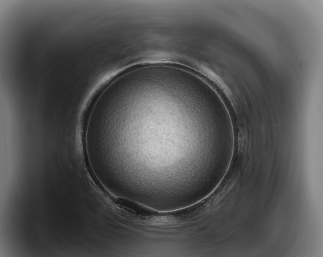 X0000097831464200803201448