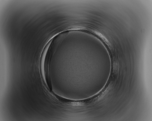 X0000097831465200803201448