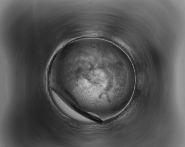 X0000097831467200803201448