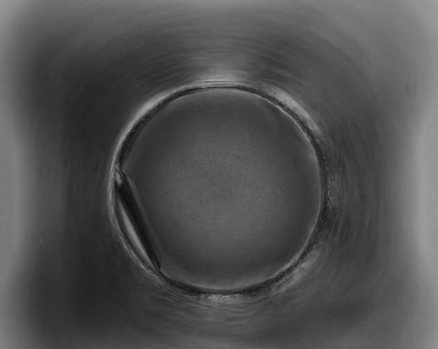 X0000097831469200803201448