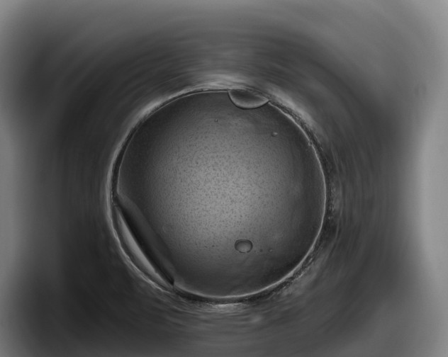 X0000097831471200803201448