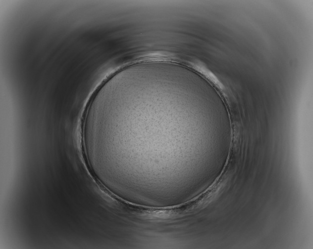 X0000097831474200803201447