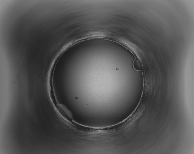 X0000097831475200803201447