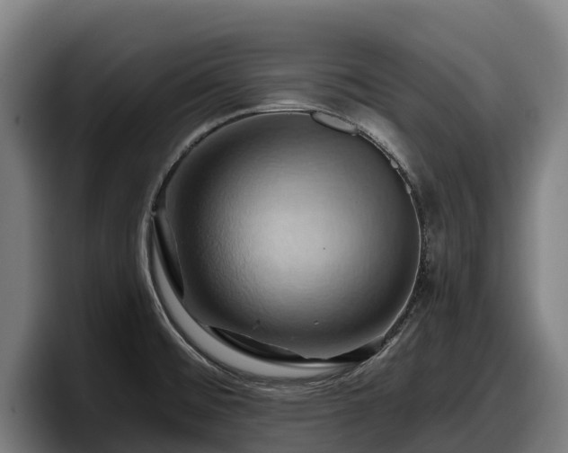 X0000097831476200803201447