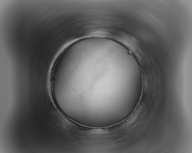X0000097831478200803201447