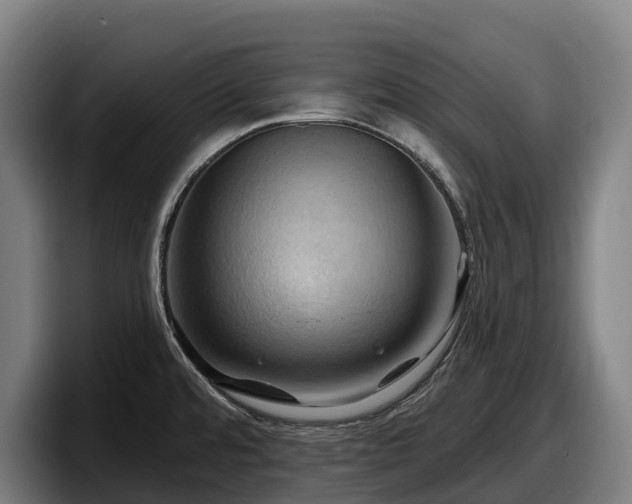 X0000097831480200803201447