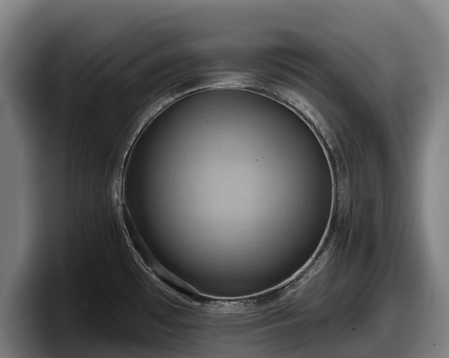 X0000097831481200803201447