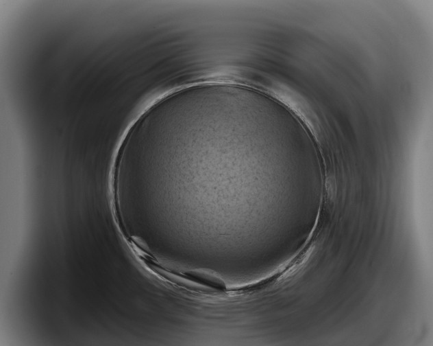 X0000097831482200803201447