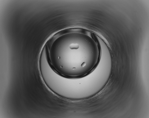 X0000097831484200803201447