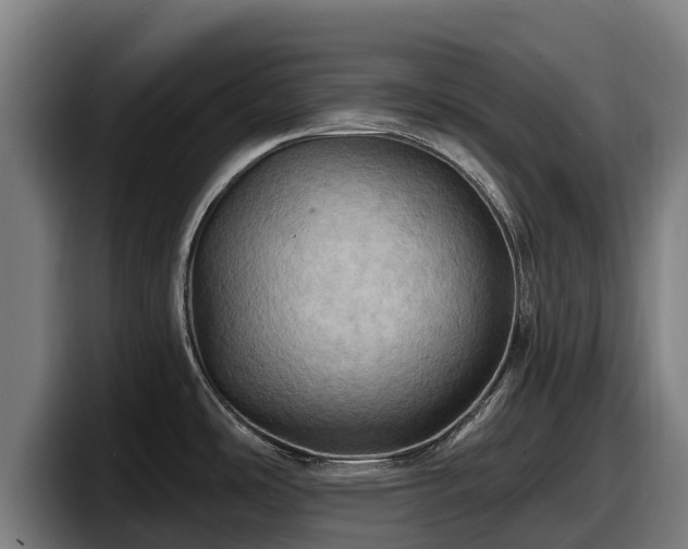 X0000097831486200803201447