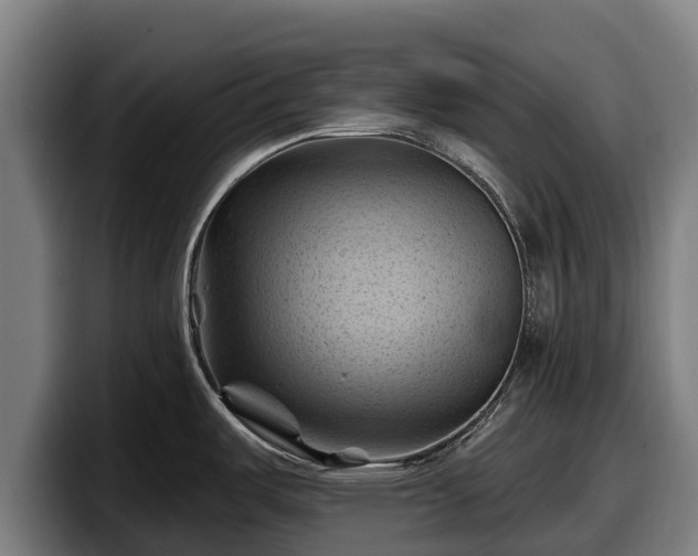 X0000097831487200803201447