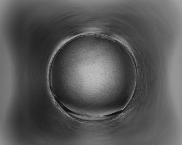 X0000097831488200803201447