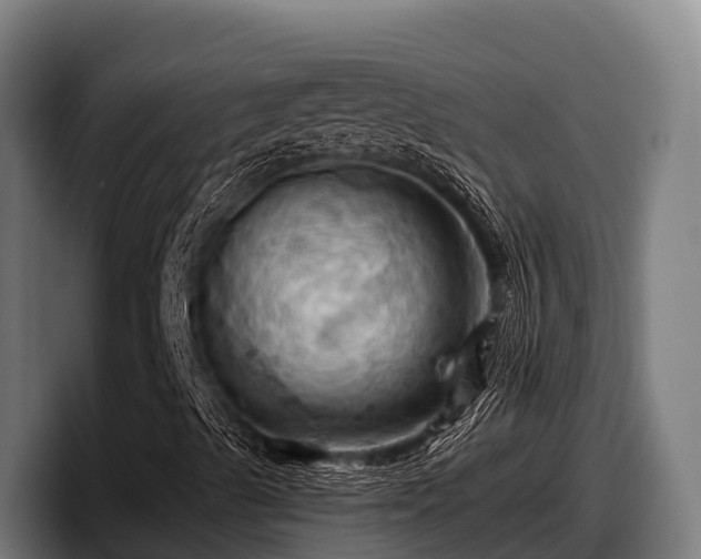 X0000097831489200803201447