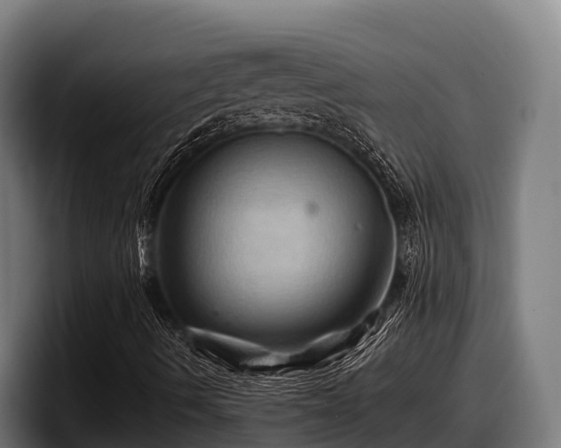 X0000097831490200803201447