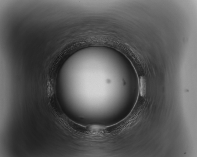 X0000097831491200803201447