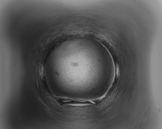 X0000097831492200803201447