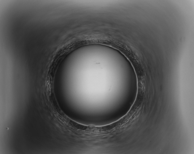 X0000097831493200803201447