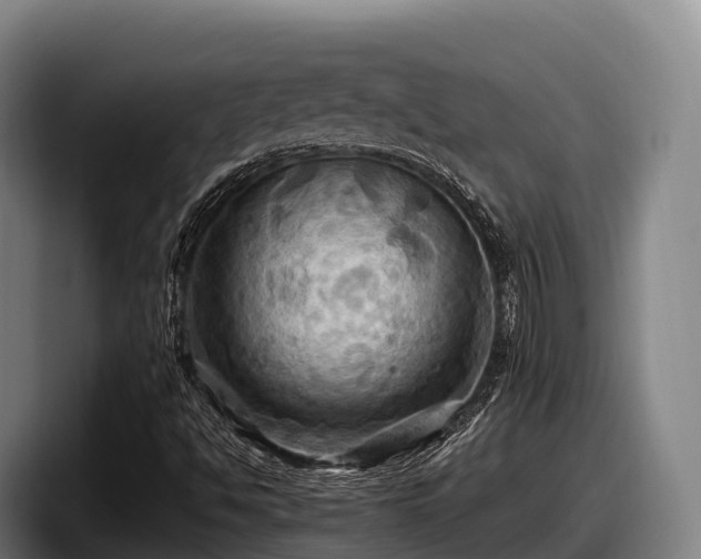 X0000097831494200803201447