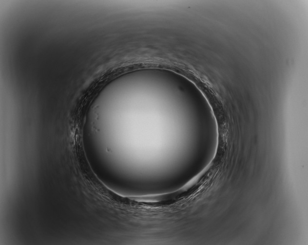 X0000097831495200803201447