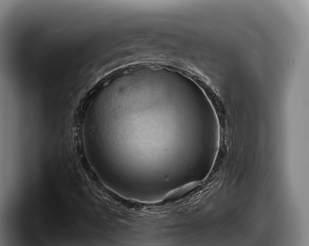 X0000097831496200803201447