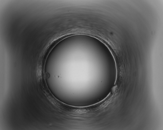 X0000097831499200803201447