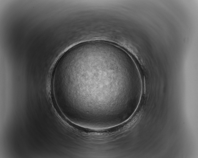 X0000097831500200803201447