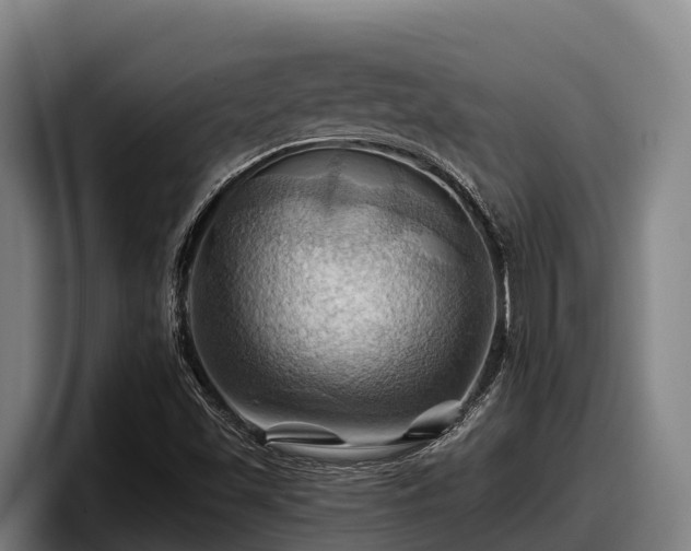 X0000097831501200803201447