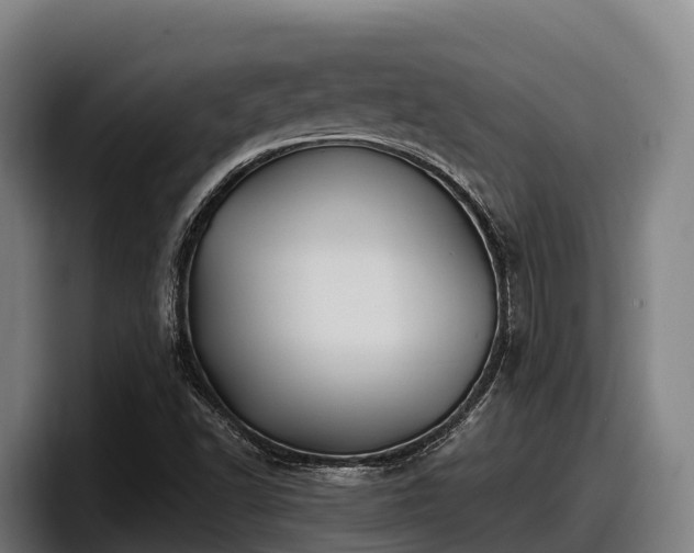 X0000097831502200803201447