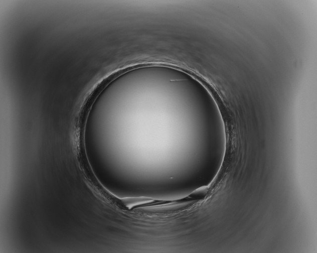 X0000097831503200803201447