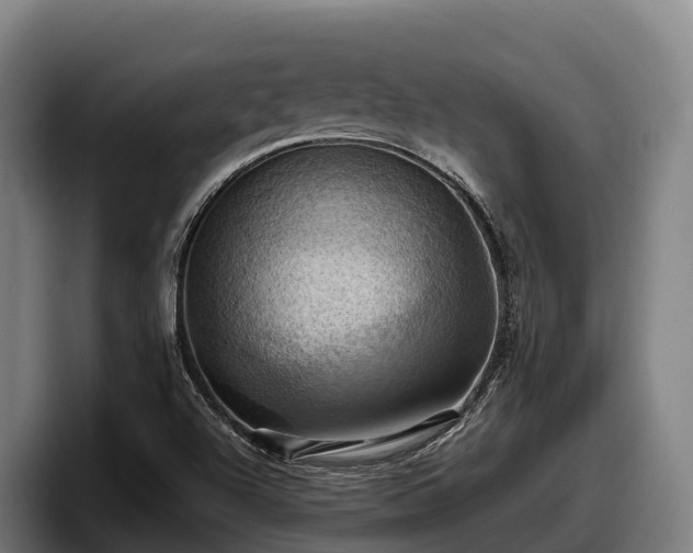 X0000097831504200803201447