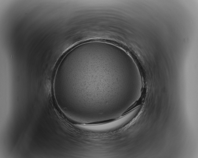X0000097831505200803201447