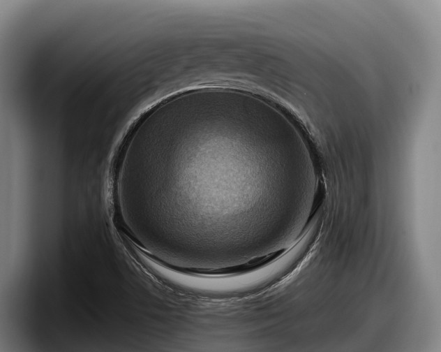 X0000097831506200803201447