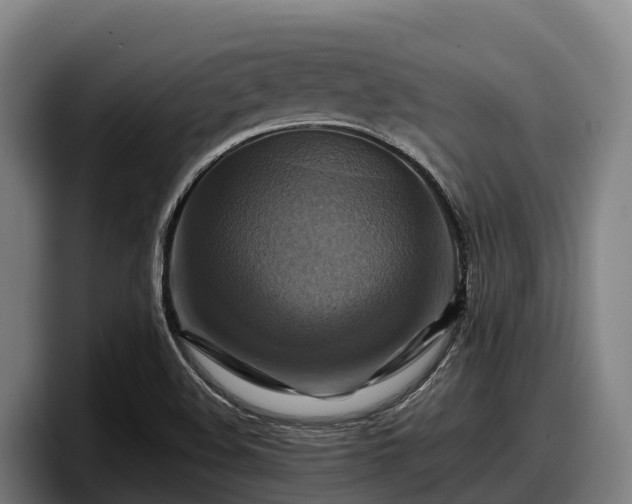 X0000097831508200803201447