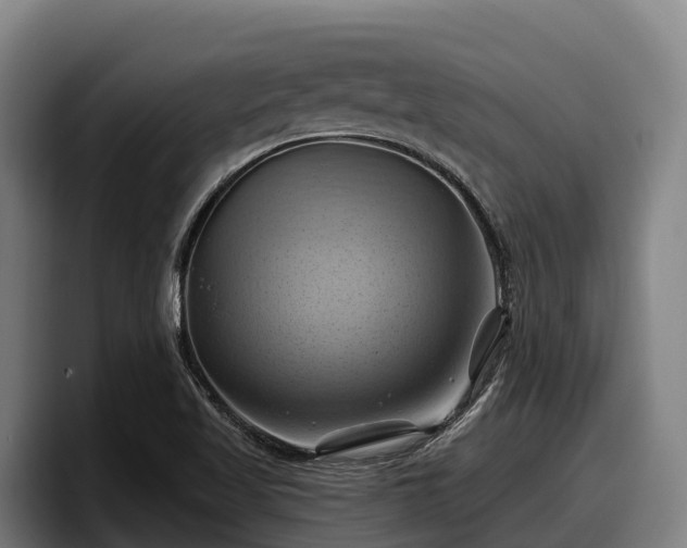 X0000097831509200803201447