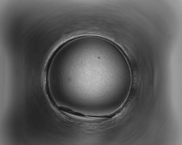 X0000097831511200803201447