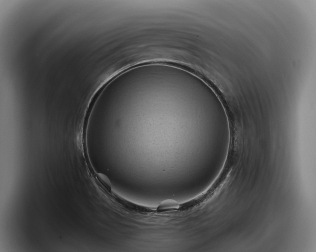 X0000097831513200803201447