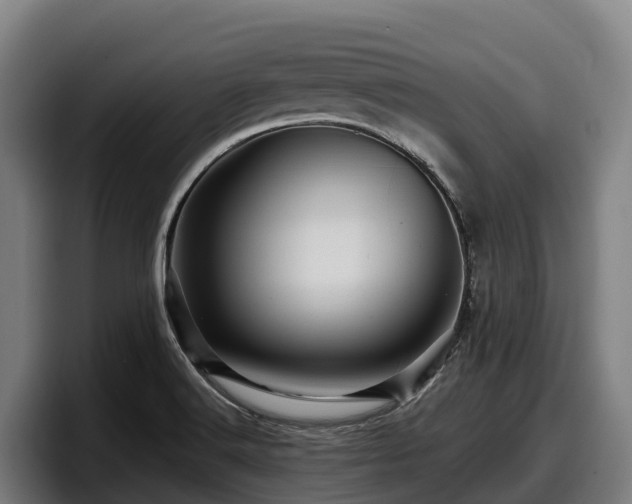 X0000097831516200803201447