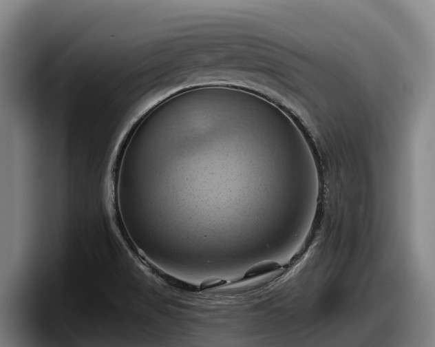 X0000097831517200803201447