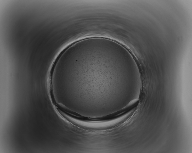 X0000097831519200803201447