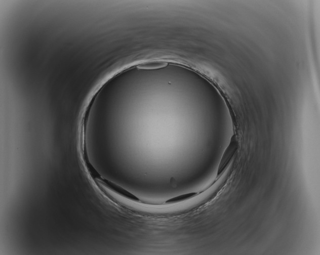 X0000097831520200803201447