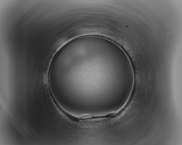 X0000097831521200803201447