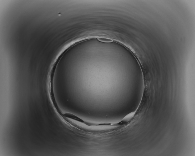 X0000097831523200803201447