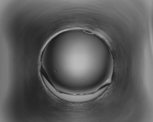 X0000097831524200803201447