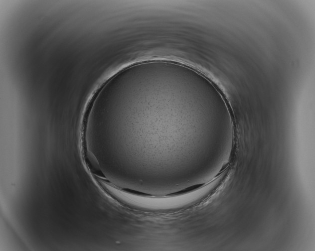 X0000097831525200803201447