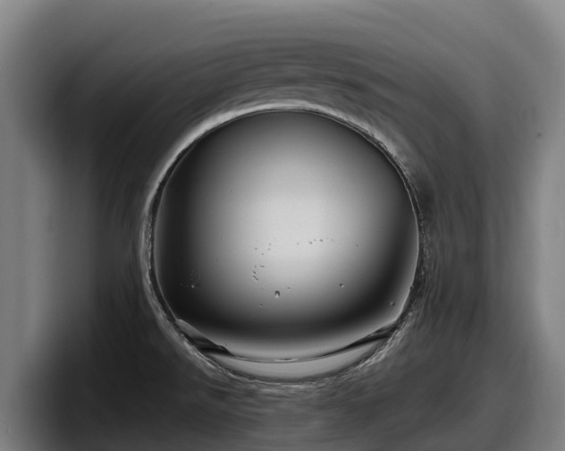 X0000097831526200803201447