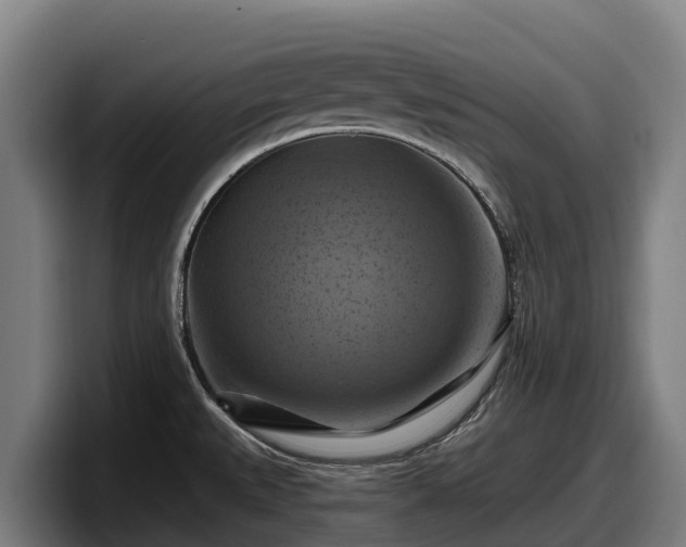 X0000097831527200803201447