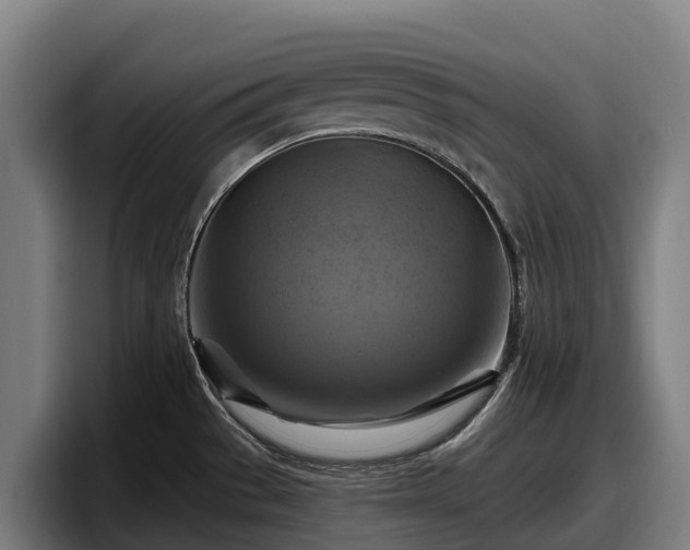 X0000097831529200803201447