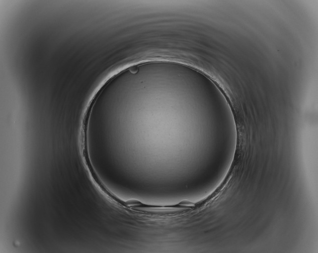 X0000097831531200803201447