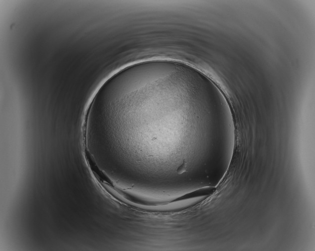 X0000097831532200803201447
